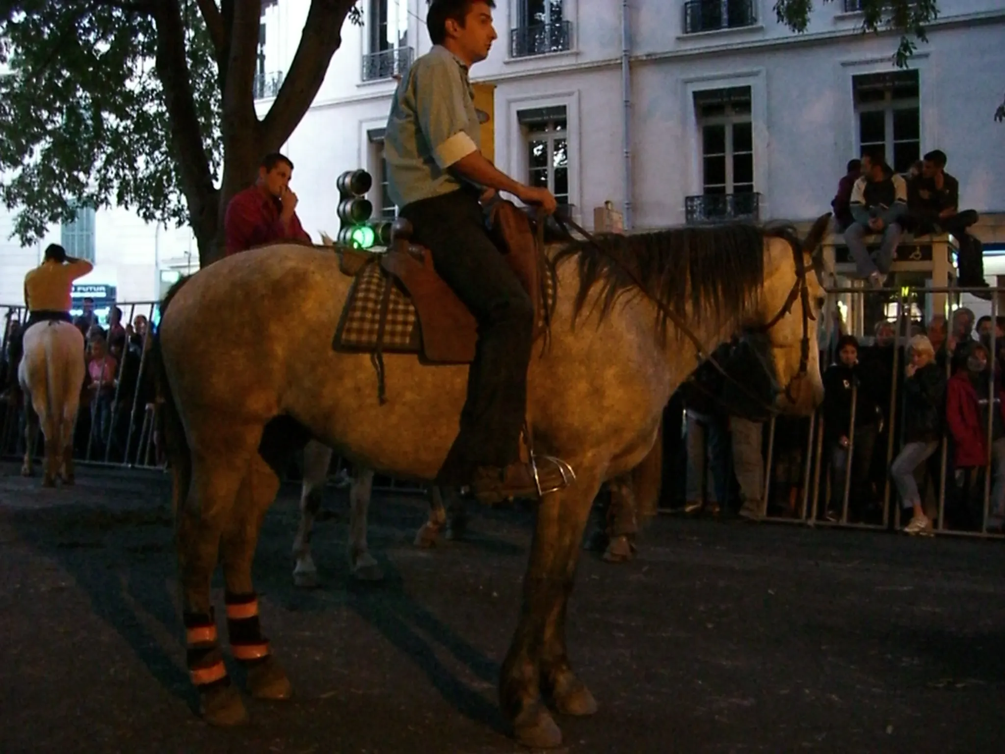 2006 Jun - The abrivados (herdsmen guiding bulls through the streets) - Nîmes